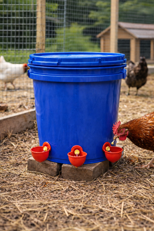 Chicken Water Bucket